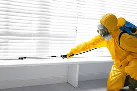 Best Bed Bug Extermination  in Kings Bay Base, GA